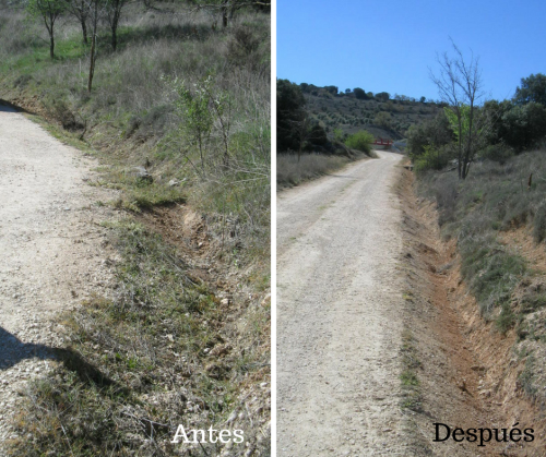 antes-despues-canada-t500