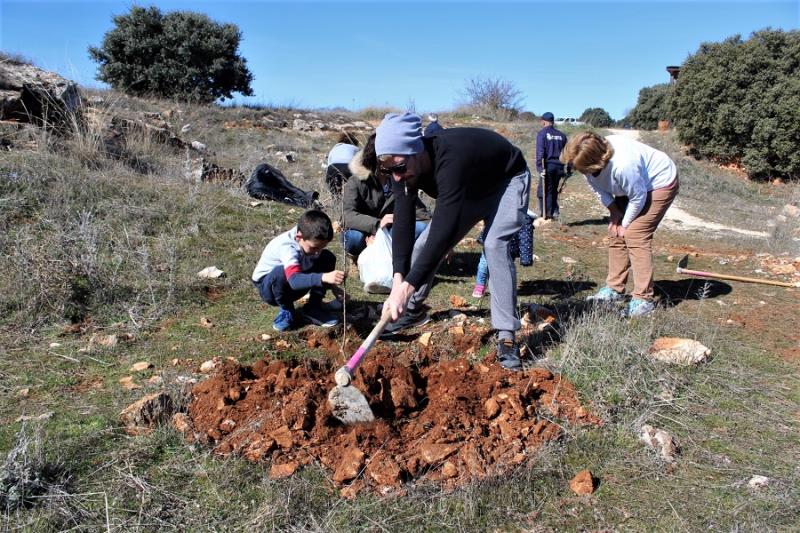 dia-arbol-villar191-t800