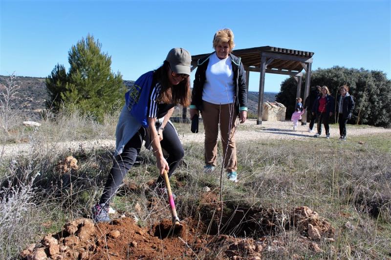 dia-arbol-villar192-t800