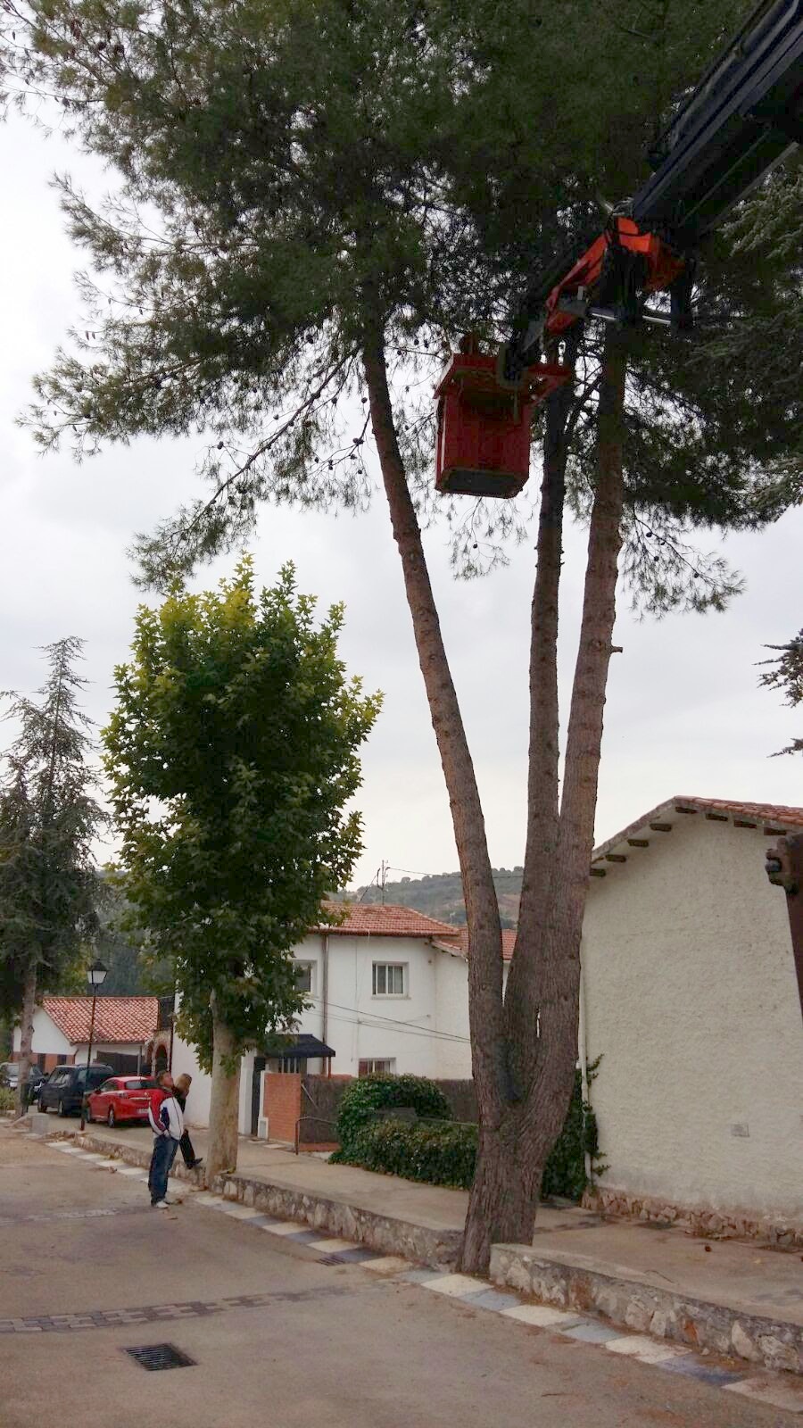 IMG-20151003-WA0019
